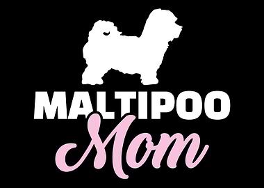 Maltipoo