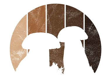 Wald Motiv fr Pilzsucher