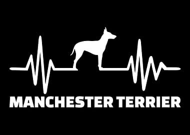 Manchester Terrier