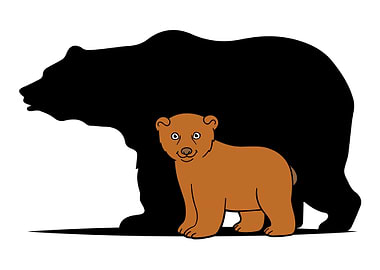 Cute Bear Shadow Animal