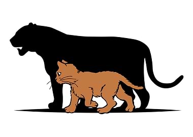 Cute Cat Shadow Animal