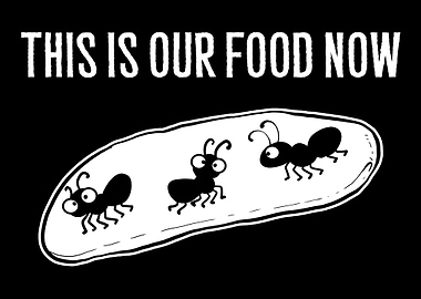 Our Food Now Foodie Gift