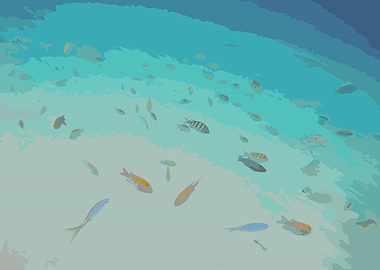 Plenty Of Fish In The Sea