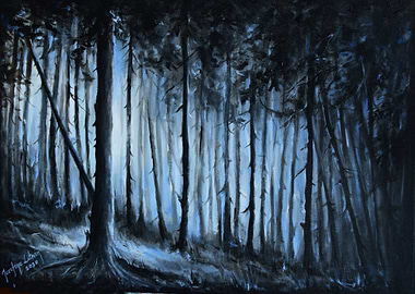 FOREST nature landscape