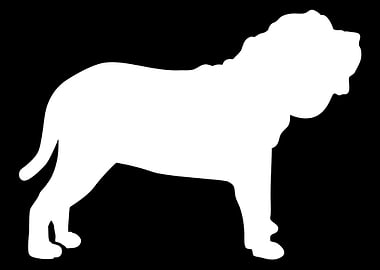 Neapolitan Mastiff