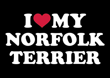 Norfolk Terrier
