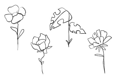 LineArt Plants