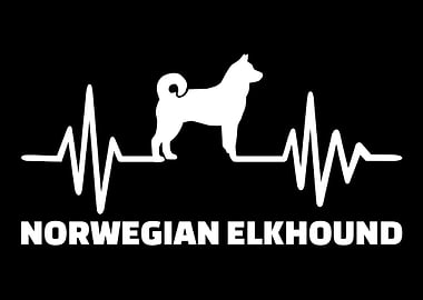 Norwegian Elkhound