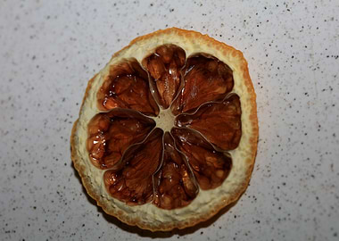 Dried lemon slice macro