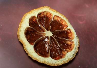 Dried lemon slice macro