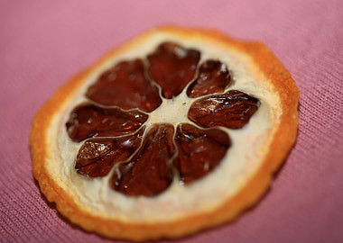 Dried lemon slice macro