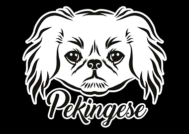 Pekingese