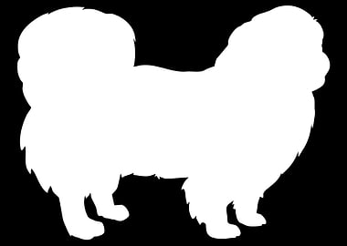 Pekingese