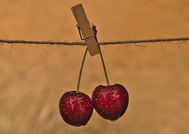 Food and Drink Foodstuff