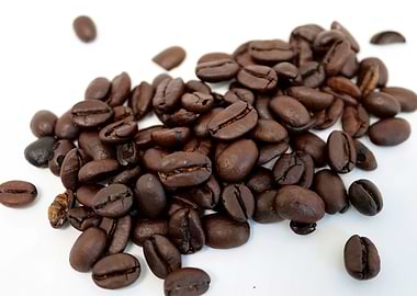 Food and Drink Foodstuff