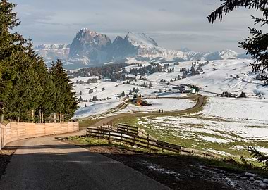 Alpe di SIusi