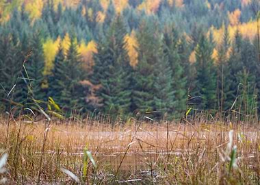 On the way to Callander