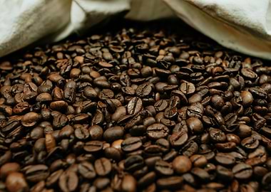 Food and Drink Foodstuff