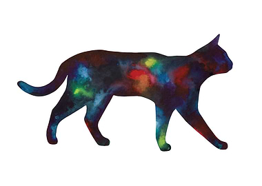 Galaxy Cats