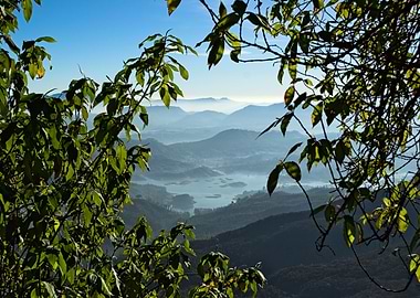Mountains through leaves