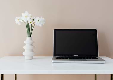 Minimalist Office space