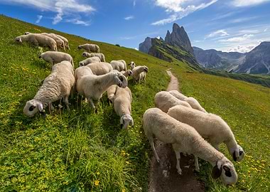 Dolomites 39 Italy