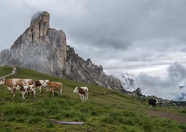 Dolomites 49 Italy