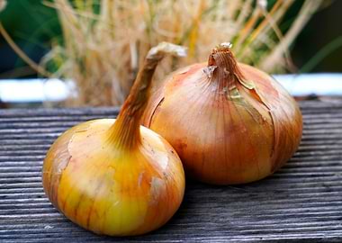 Food and Drink Foodstuff