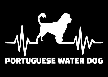 Portuguese Water Dog