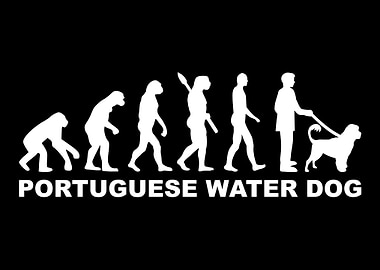Portuguese Water Dog