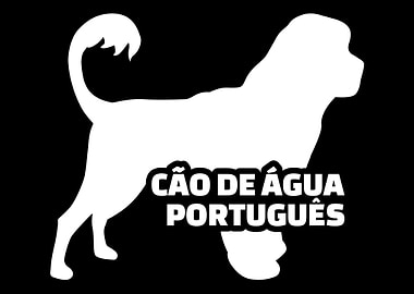 Portuguese Water Dog