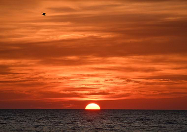 Fire in the Sky Coastal