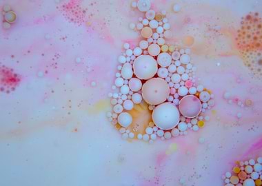 Bubbles Art Noah