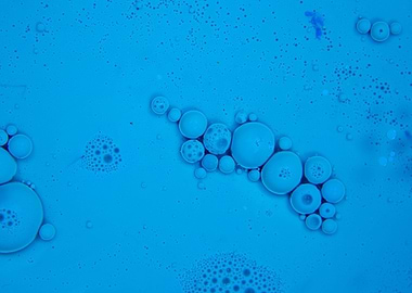 BubblesArt Line of Bubble