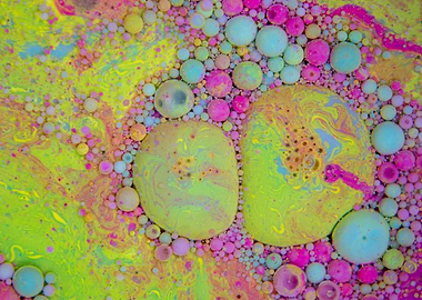 Bubbles Art Ladyfinger