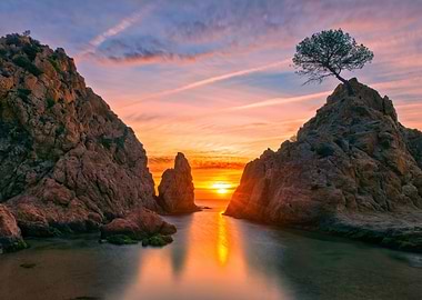 Sunrises beach landscape