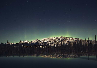 The Northern Light
