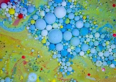 Bubbles Art Coconut