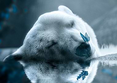 Polar Butterfly