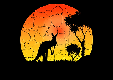 Kangaroo Sunset Sunset Per