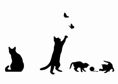 Black Cat Butterfly Playin