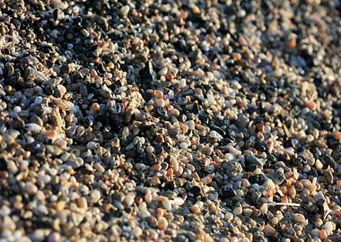 Shells beach Elafonisi