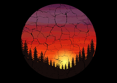 Woods Trees Sunset Nature