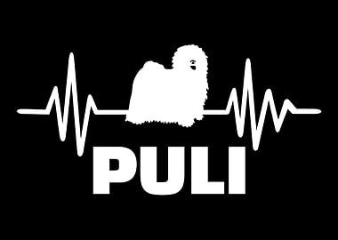Puli
