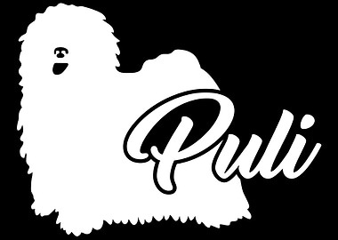 Puli