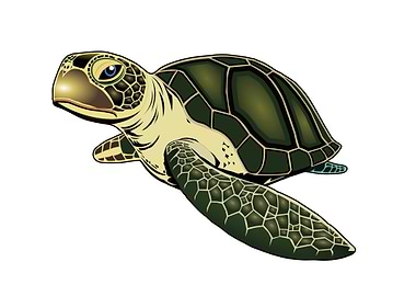 Turtle