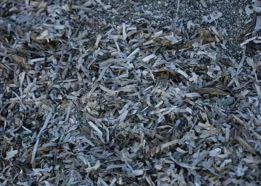 Sea beach ground Creta