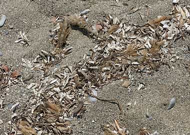 Sea beach ground Creta