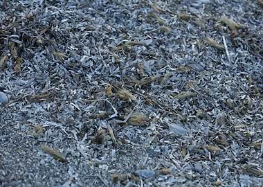 Sea beach ground Creta