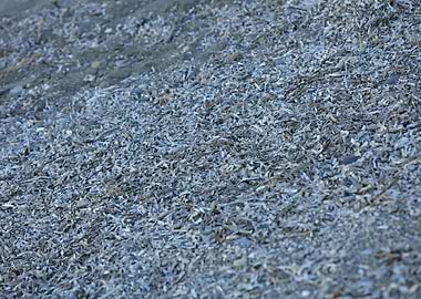 Sea beach ground Creta